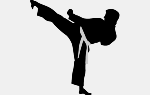 INSCRIPTIONS KARATE 2019 - 2020 !