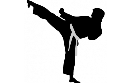 PLANNING KARATE COURS COMMUNS VILLETTE D'ANTHON